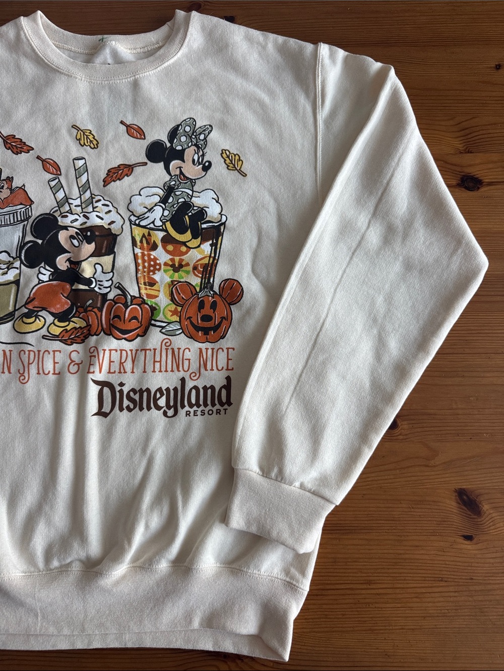 Disney Disneyland Resort Pumpkin Spice & Everything Nice Crewneck Sweatshirt - Picture 3 of 8